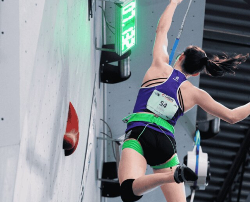 TRUBLUE SPEED Auto Belay